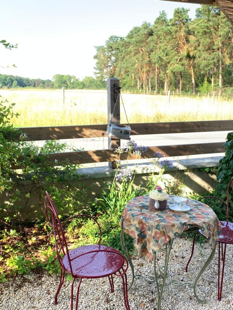 Vue sur la terrasse champêtre du restaurant Little Miss Goumard à Cheverny
